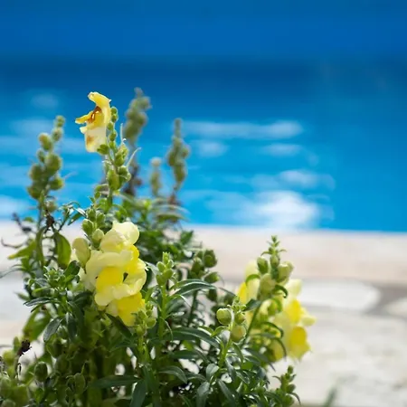 Belle Helens Villa, Lakithra ヴィラ アルゴストリオン