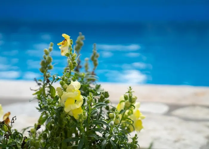 Belle Helens Villa, Lakithra ヴィラ アルゴストリオン