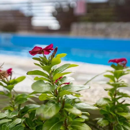 빌라 Belle Helens Kefalonia *